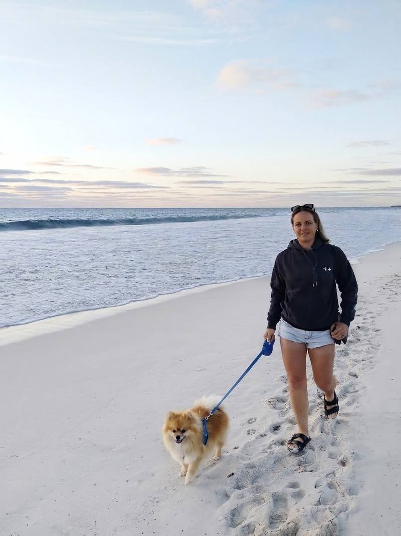 Walking a fluffy Pomeranian on the beach at sunset